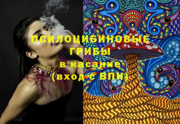 ГАЛЛЮЦИНОГЕННЫЕ ГРИБЫ Навашино