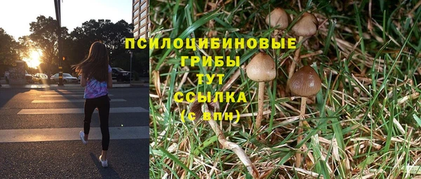 ГАЛЛЮЦИНОГЕННЫЕ ГРИБЫ Навашино