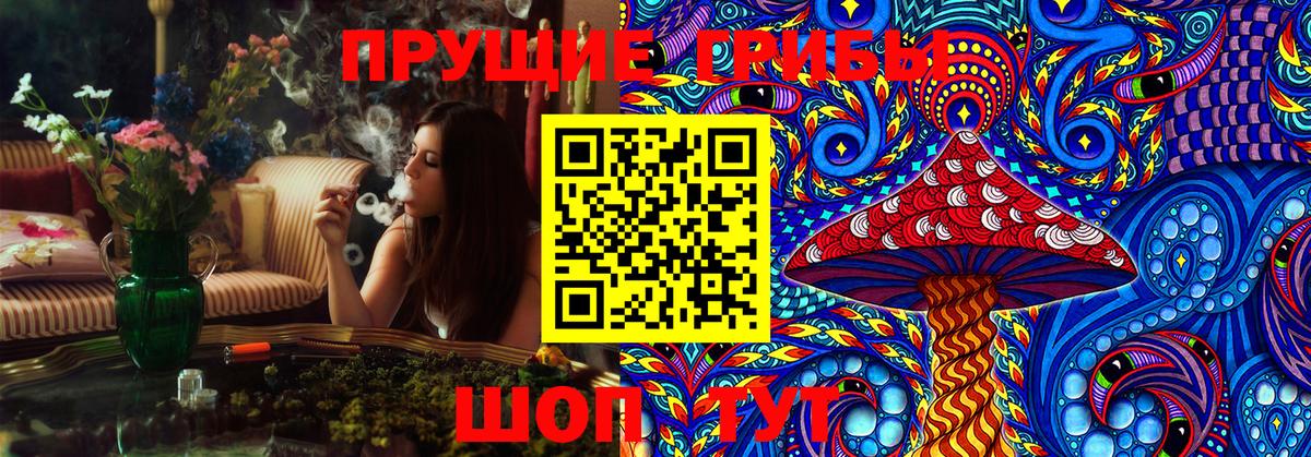 Набережные Челны  сколько стоит  Вход с VPN  Псилоцибиновые грибы Psilocybine cubensis 